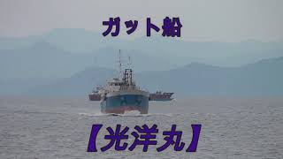 ガット船　【光洋丸】　御前崎海運