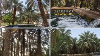 Madina, Salman Farsi (RA) Garden, Prophet Muhammad PBUH Planted 300 Trees In This Garden Madina
