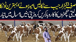 Cow Baby Calf In Pashu Mandi Punjab | One Day Calf Farming In Pakistan