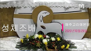 2020년10월29일 메주고리예본당 성체조배 및 강복