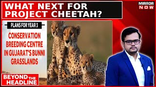 Audit Report Flags Serious Concerns; Kuno Built For Lions, Funded For Cheetahs? | Beyond Headline