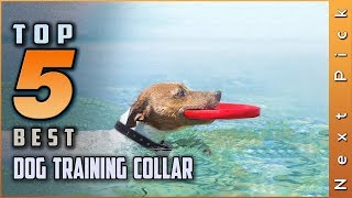 Top 5 Best Dog Training Collar Review in 2023