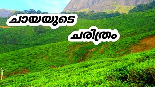 ചായയുടെ ചരിത്രം ☕️ History of TEA | The complet details about tea | pandalogico