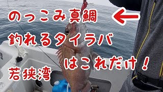 釣れるタイラバ教えます。若狭湾DEEPのっこみ真鯛タイラバ！