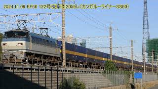 5087ﾚ(EF65 2087)、2059ﾚ(代走EF66 122)、回3015M(FG604カニラッピング)