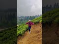 Mirik/Tea Garden #shorts #mirik #darjeeling #reels #darjeeling_tour #goviral