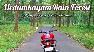 Nedumkayam Rain Forest || Thick Teak Forest