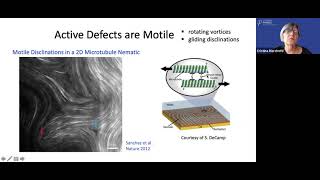 Cristina Marchetti, University of California, Santa Barbara - “Active Topology”