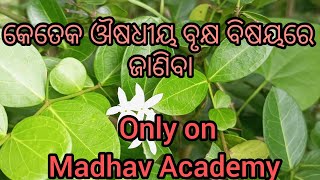 କେତେକ ଔଷଧୀୟ ବୃକ୍ଷ #medicinal plant #home reremdy #Rudra #Madhav Academy #tulasi plant 🌿☘️🍃🪴🍀