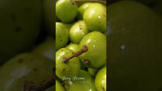 ഉപ്പിലിട്ട മാങ്ങ .......അതൊരു വികാരമാണ്😋😋 salted raw mango#home#nostalgia#happiness#