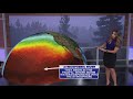 What is an Atmospheric River? Explaining the cause of deadly floods in California