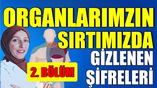 ŞİFANIN SIRTIMIZDAKİ ŞİFRELERİ / HACAMAT / SIRTTAKİ REFLEKS ORGAN SAHALARI / Fizyoterapist Aynur BAŞ