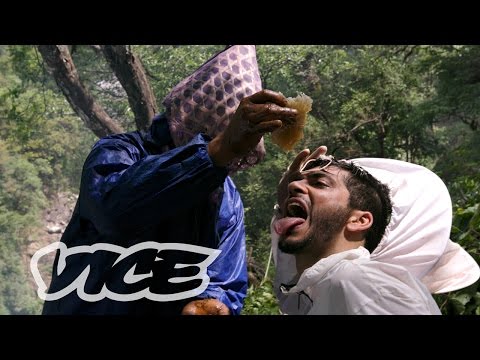 The Nepalese Honey That Makes People Hallucinate The Nepalese Honey That Makes People Hallucinate
