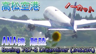 高松空港　全日本空輸ANA機　Boeing 787-8 Dreamliner (JA829A)　RWY26離陸