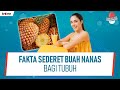 Fakta Menarik Di Balik Kesegaran Buah Nanas | Ternyata Ada Obatnya