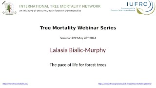 The pace of life for forest trees  by Lalasia Bialic-Murphy