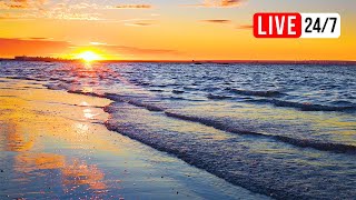 Relaxing Music and Ocean Waves (LIVE 24/7) - Beautiful Piano, Sleep Music, Stress Relief, Meditation