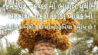 i-Kisan | Date Palm Cultivation at Kutch Gujarat