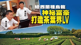 【台灣壹週刊】紐西蘭種烏龍　神祕富豪打造茶葉界LV