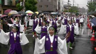 福山ばら祭２００９ 支志團 ローズパレード６ mususukunjp