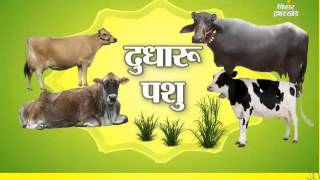 Annadata (अन्नदाता) - Bihar - 6th February 2016 - ETV Bihar Jharkhand