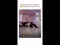 نامجون لو شاف ترند الآرمي ينجلط ويحذف الأغنية😭🚷 shorts bts srt akv fyp tyv kyh arsei explore