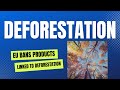 Breaking News - EU Bans Products Linked To Deforestation