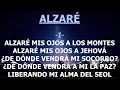 Alzaré (Práctica)