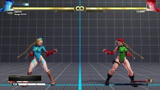 SFV: Learning neutral. Understanding its basics