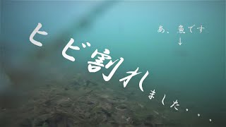 琵琶湖北湖　奥琵琶湖★やってまいました…★奥出湾奥　取水塔周り　水中動画