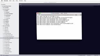 Lesson 8: Creating a WordPress Plugin