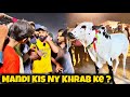 Mandi YouTubers NY khrab ke ? Bakra Mandi bhatta 2024 - dangerous fateh jangi bulls 2024 - Qurbani