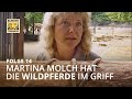 Tiefflieger und Pantoffeltierchen (Folge 14) | Elefant, Tiger & Co. | MDR