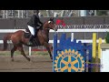 175s susie skellenger on regardless smh intro show jumping fchp april 2018