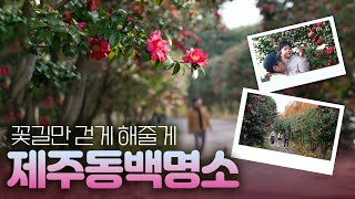 [비밀정원의 초대] 가시림정원 / 왓슈