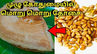 இப்படி முழு கோதுமை அரைச்சு தோசை சுட்டு பாருங்க | wheat dosai