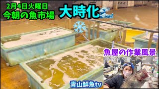 【大時化❄️】【魚屋の作業風景】今朝の魚市場2月4日火曜日の水揚げ状況