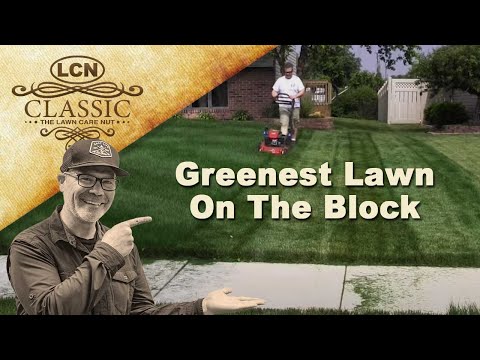 Secret To Having The Greenest Lawn On The Block Secret To Having The Greenest Lawn On The Block