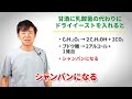 【必見】あなたの腸活間違ってるかも？本当に効く“正しい腸活”の方法とは（ダイエット・若返り・便秘解消・美肌・がん予防・ナグモクリニック・予防医療）