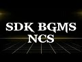 TAMIL FEVER REMIX | NON COPYRIGHT MUSIC | SDK BGMS NCS|