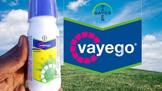 Bayer Vayego insecticide telugu/బాయర్ కంపెనీ వారి Vayego పురుగుమందు/#bayerchannel#insecticide