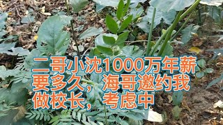 二哥小沈1000万年薪要多久，海哥邀约我做校长，3哥考虑中说说看。