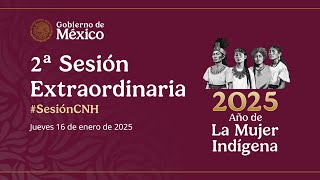 2ª Sesión Extraordinaria del Órgano de Gobierno (16 de enero de 2025)