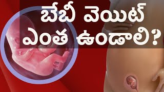 వారం వారం  బేబీ వెయిట్ ఎంత పెరుగుతుంది మీ బేబీ ఆరోగ్యమైన వెయిట్ ఉందా? |HMB Liv | weekly baby weight