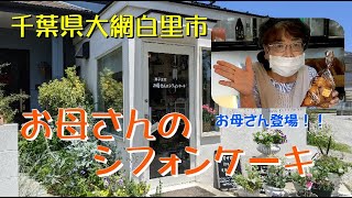 大網白里市「お母さんのシフォンケーキ」あられちゃん家から車で５分！またも、お母さん出演♪