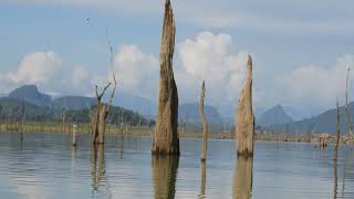 Far end of Senanayake Samudra (Gal Oya)