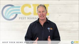 CDI Keep Your Home Pest Free