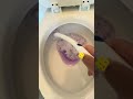 I Tried Toilet Cleaning Tips From TikTok