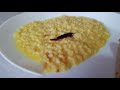 urad dal recipe split white lentils recipe