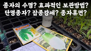 (답글영상) 종자의 수명? 효과적인 보관방법? 단명종자? 상명종자? 장명종자? 잡종강세? 종자퇴화?